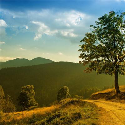 中欧体育app下载官网